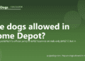 Are dogs allowed in Home Depot? - PuppaDogs FAQ