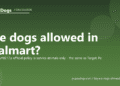 Are dogs allowed in Walmart? - PuppaDogs FAQ