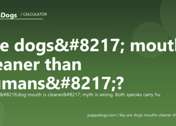 Are dogs’ mouths cleaner than humans’? - PuppaDogs FAQ