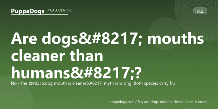 Are dogs’ mouths cleaner than humans’? - PuppaDogs FAQ