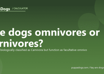 Are dogs omnivores or carnivores? - PuppaDogs FAQ