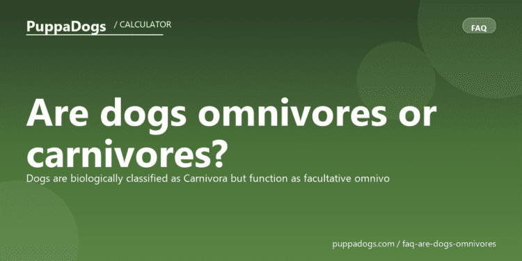 Are dogs omnivores or carnivores? - PuppaDogs FAQ