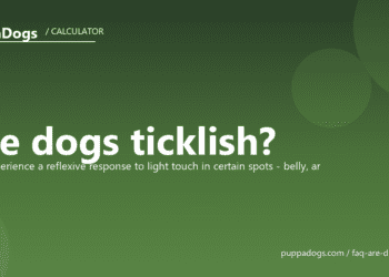 Are dogs ticklish? - PuppaDogs FAQ