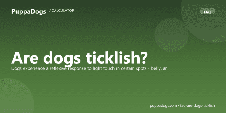 Are dogs ticklish? - PuppaDogs FAQ