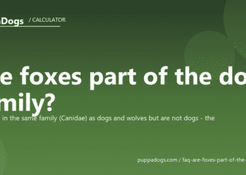 Are foxes part of the dog family? - PuppaDogs FAQ