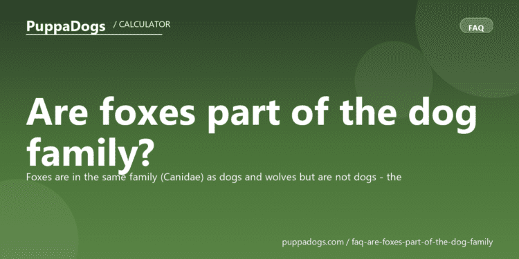 Are foxes part of the dog family? - PuppaDogs FAQ