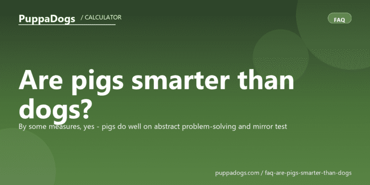 Are pigs smarter than dogs? - PuppaDogs FAQ