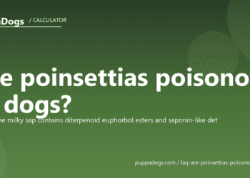 Are poinsettias poisonous to dogs? - PuppaDogs FAQ