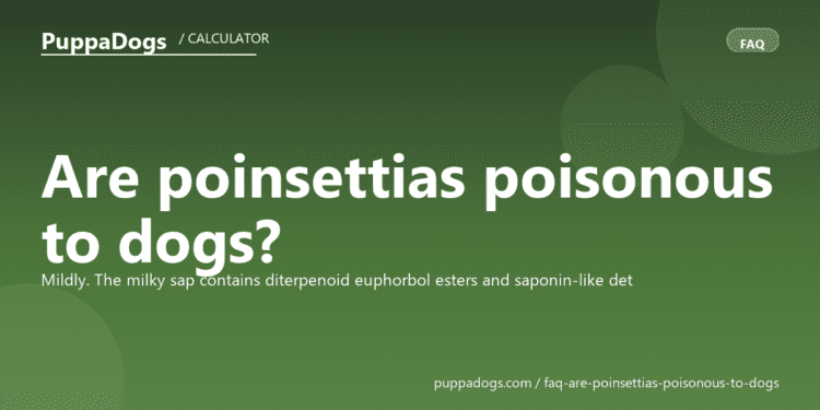 Are poinsettias poisonous to dogs? - PuppaDogs FAQ