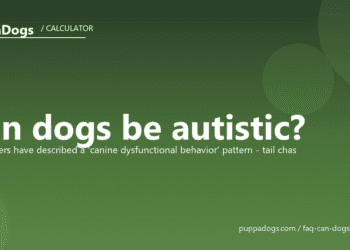 Can dogs be autistic? - PuppaDogs FAQ