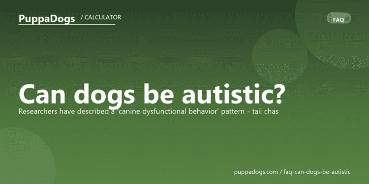 Can dogs be autistic? - PuppaDogs FAQ
