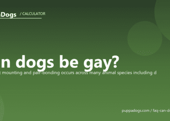 Can dogs be gay? - PuppaDogs FAQ