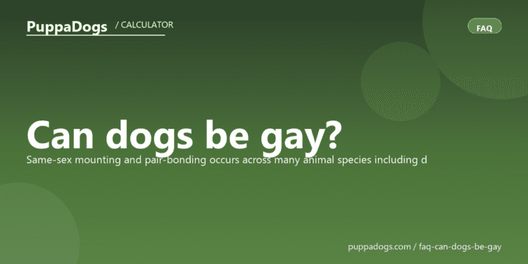 Can dogs be gay? - PuppaDogs FAQ