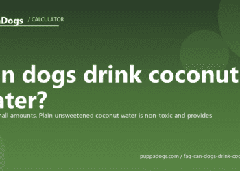 Can dogs drink coconut water? - PuppaDogs FAQ