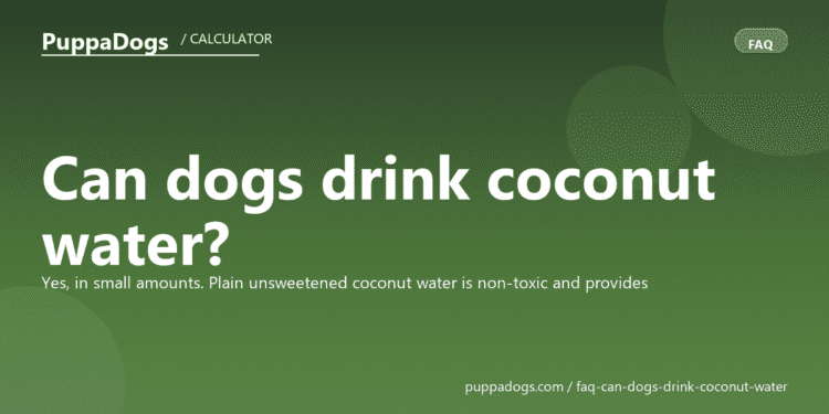 Can dogs drink coconut water? - PuppaDogs FAQ