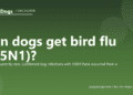 Can dogs get bird flu (H5N1)? - PuppaDogs FAQ