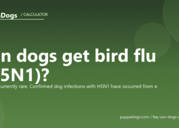 Can dogs get bird flu (H5N1)? - PuppaDogs FAQ