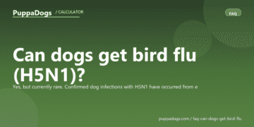 Can dogs get bird flu (H5N1)? - PuppaDogs FAQ