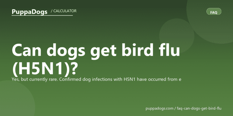 Can dogs get bird flu (H5N1)? - PuppaDogs FAQ