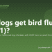 Can dogs get bird flu (H5N1)? - PuppaDogs FAQ