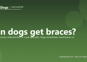 Can dogs get braces? - PuppaDogs FAQ