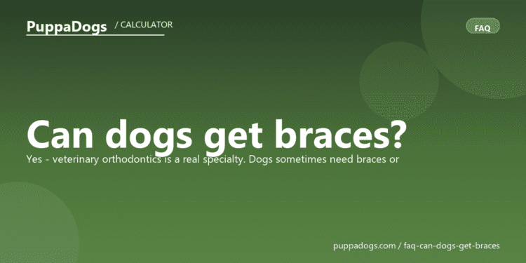 Can dogs get braces? - PuppaDogs FAQ