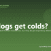 Can dogs get colds? - PuppaDogs FAQ