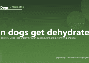 Can dogs get dehydrated? - PuppaDogs FAQ