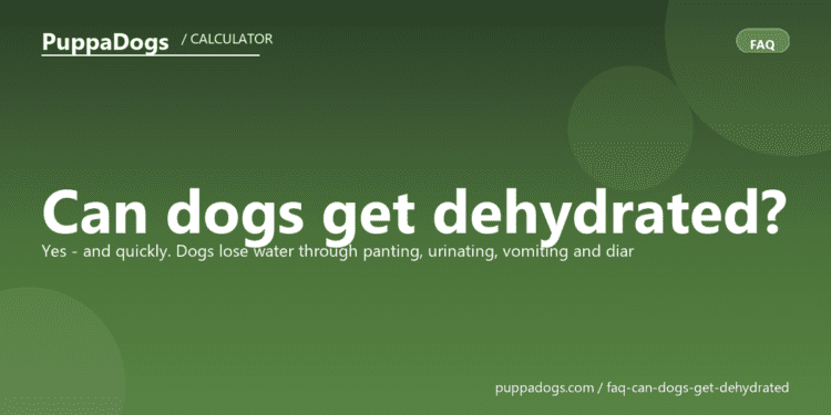 Can dogs get dehydrated? - PuppaDogs FAQ