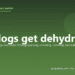 Can dogs get dehydrated? - PuppaDogs FAQ
