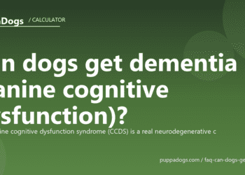 Can dogs get dementia (canine cognitive dysfunction)? - PuppaDogs FAQ