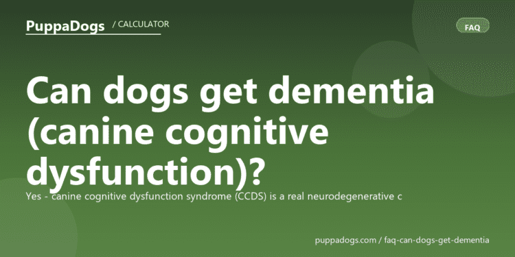 Can dogs get dementia (canine cognitive dysfunction)? - PuppaDogs FAQ