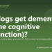 Can dogs get dementia (canine cognitive dysfunction)? - PuppaDogs FAQ