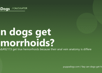 Can dogs get hemorrhoids? - PuppaDogs FAQ