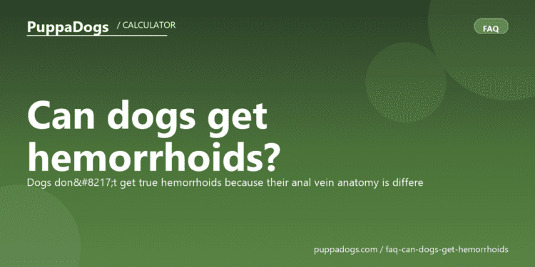 Can dogs get hemorrhoids? - PuppaDogs FAQ