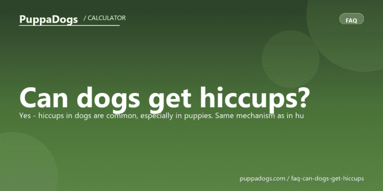 Can dogs get hiccups? - PuppaDogs FAQ