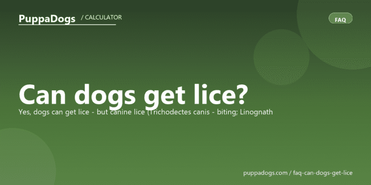 Can dogs get lice? - PuppaDogs FAQ