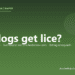 Can dogs get lice? - PuppaDogs FAQ