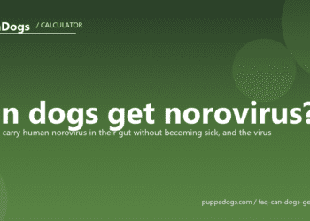 Can dogs get norovirus? - PuppaDogs FAQ
