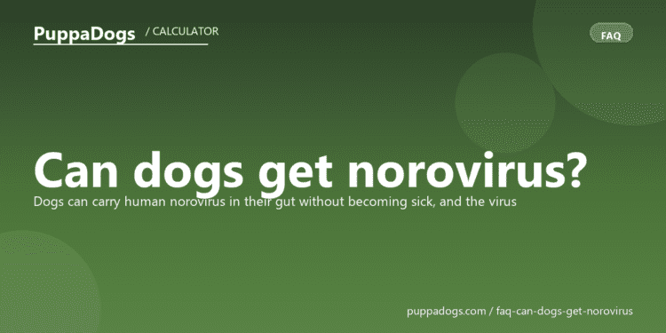 Can dogs get norovirus? - PuppaDogs FAQ