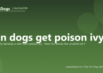 Can dogs get poison ivy? - PuppaDogs FAQ