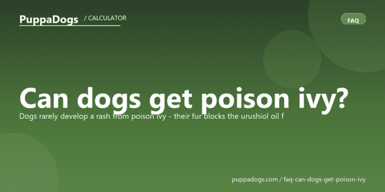 Can dogs get poison ivy? - PuppaDogs FAQ
