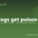 Can dogs get poison ivy? - PuppaDogs FAQ