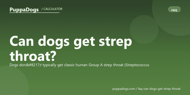 Can dogs get strep throat? - PuppaDogs FAQ