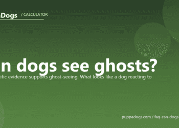 Can dogs see ghosts? - PuppaDogs FAQ