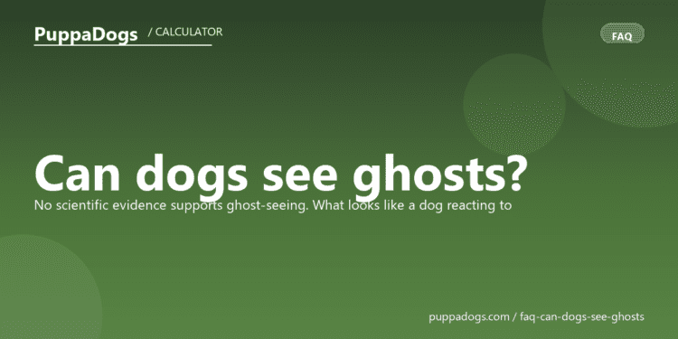 Can dogs see ghosts? - PuppaDogs FAQ