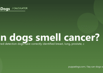 Can dogs smell cancer? - PuppaDogs FAQ