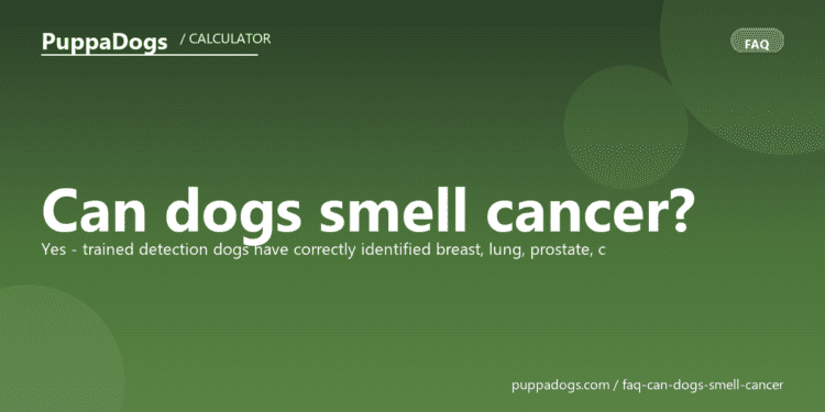 Can dogs smell cancer? - PuppaDogs FAQ