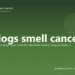 Can dogs smell cancer? - PuppaDogs FAQ