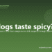Can dogs taste spicy? - PuppaDogs FAQ